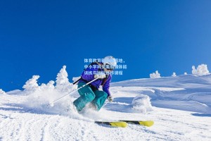 体育教育新政策落地，中小学将全面加强体能训练与团队协作课程