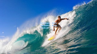 弗兰克放豪言，范德芬若能延续神勇，我将亲自为他让路