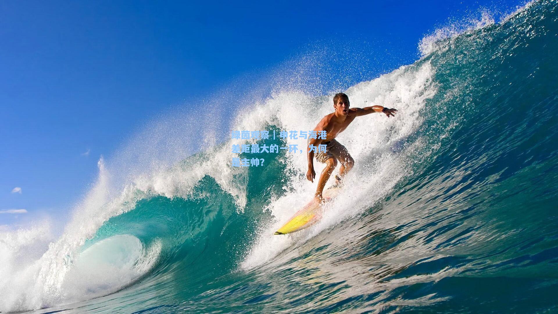 绿茵观察|申花与海港差距最大的一环,为何是主帅?