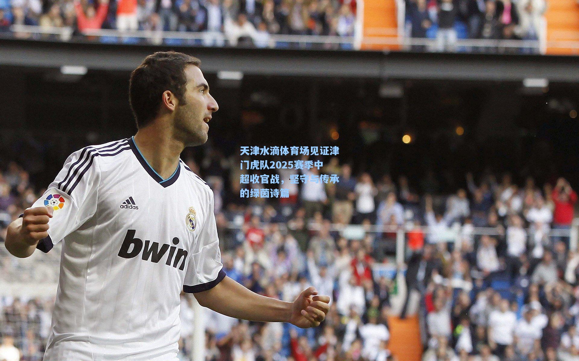 天津水滴体育场见证津门虎队2025赛季中超收官战，坚守与传承的绿茵诗篇
